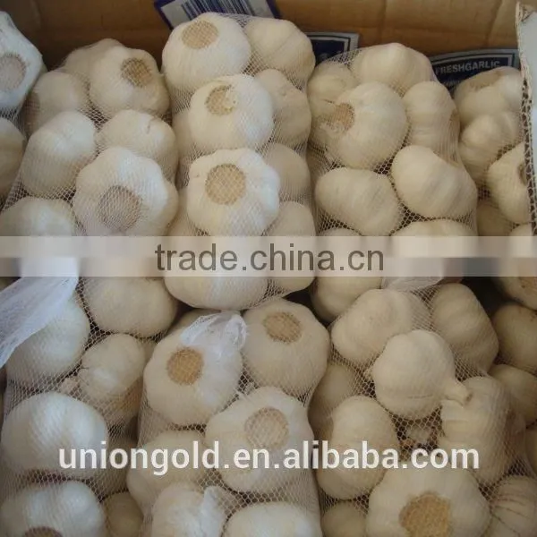 2016 New Crop Natural White Garlic in Purple Mesh Bag photo-2