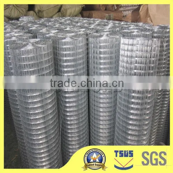 Iron Wire Mesh photo-6