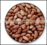 Roasted Sesame Seeds