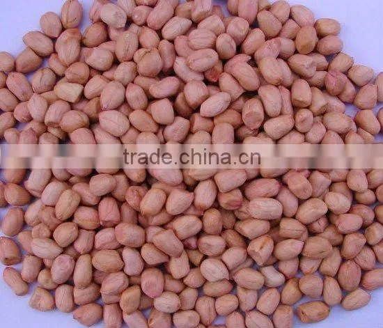 Groundnut
