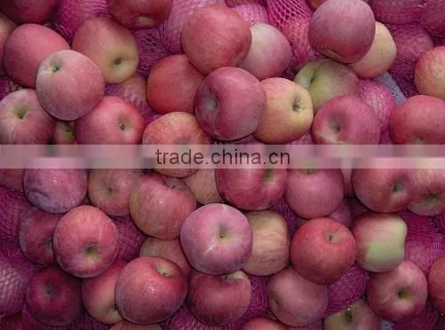 Red Fuji Apples, Fresh Apples
