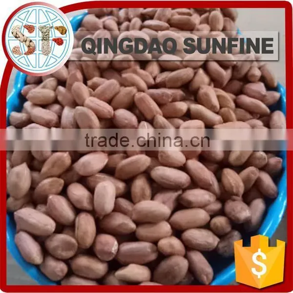 Planting Cheap Peanuts Kernel photo-6