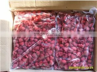IQF Raspberry photo-3