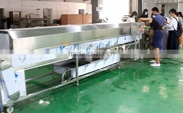 Water Recycle Saving Vegetable and Fruit Washing Cleaning Machine photo-6