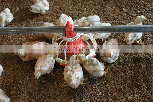 Poultry Farm Equipment photo-2