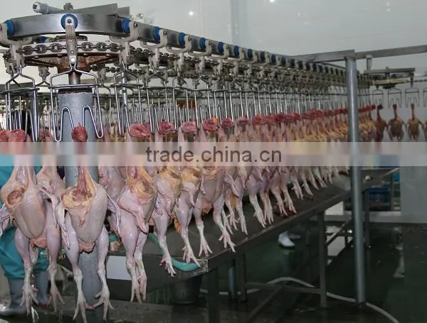 Hot Selling Portable Chicken Broiler Slaughter Line Dressing Line House 008618052092685 photo-6