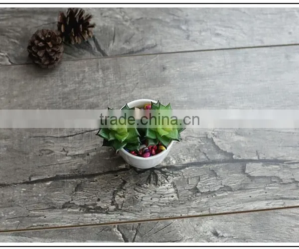Simple Morden Desktop Decor Mini White Ceramic Flower Pots for Succulent Planter photo-3