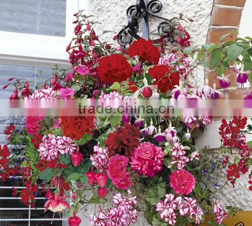 New Design Flower Pots for Sale Christmas Decor Flower Pot photo-6