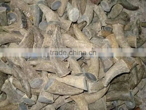 Natural Horn Toggles photo-4
