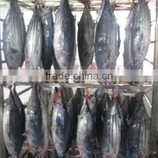 Katsuwonus Pelamis photo-6
