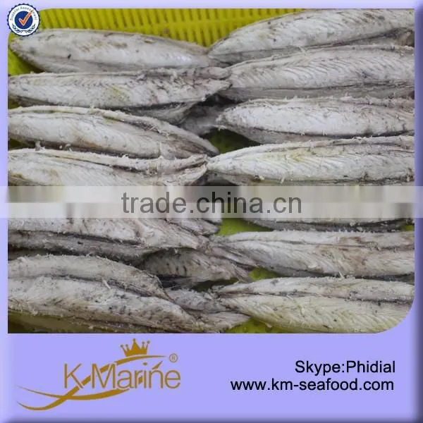 Fresh Frozen Tuna Loin photo-2