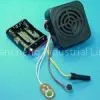 Motion Sensor Voice Module