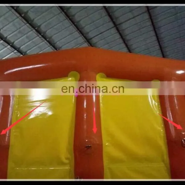 Hot Selling Inflatable Water Flyfhish , Inflatable Water Fly Fish for Sale photo-3