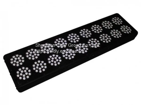 CILDY Led High Power High Lumen 650w Led Grow Light 18 for Hydroponic Grow Room Tent,agricultural Greenhouses Used photo-4
