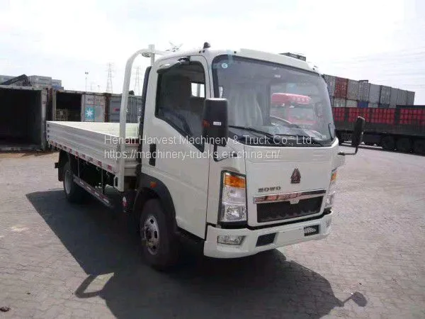 SINOTRUK HOWO 3 Ton Light Cargo Truck Low Price 4x2 Lorry Truck photo-2