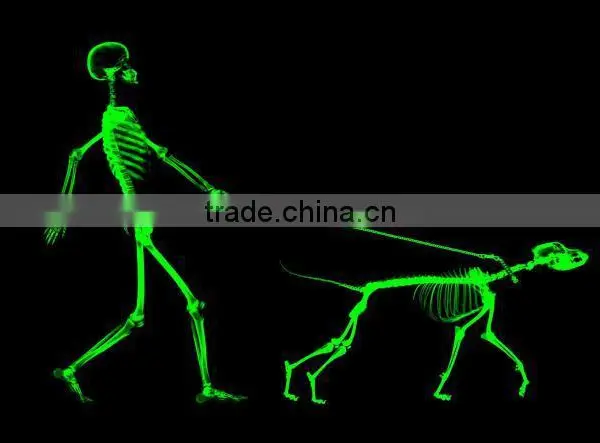 Website Removable Luminous Glow in Dark Wall Stickers photo-4