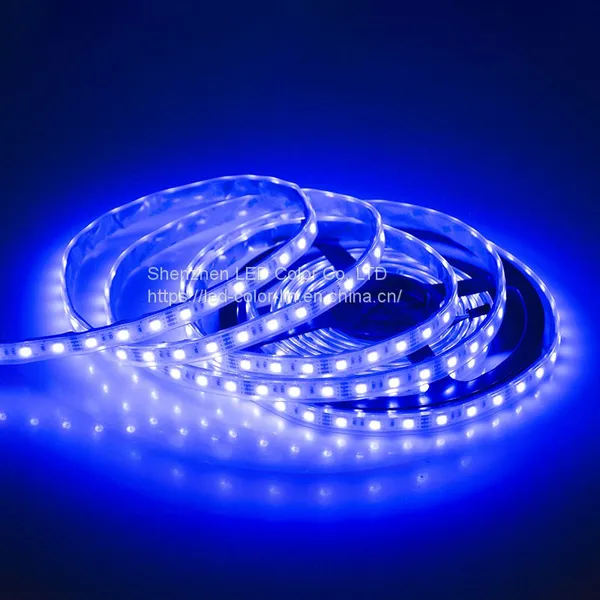 Waterproof Outdoor Swimming Pool Light 60 Leds 220V LED Strip Light photo-4