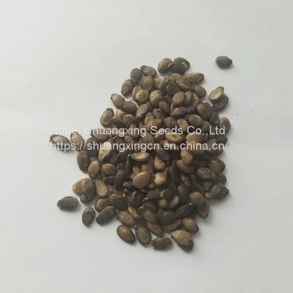 Red Flesh f1 Hybrid Watermelon Seeds photo-5
