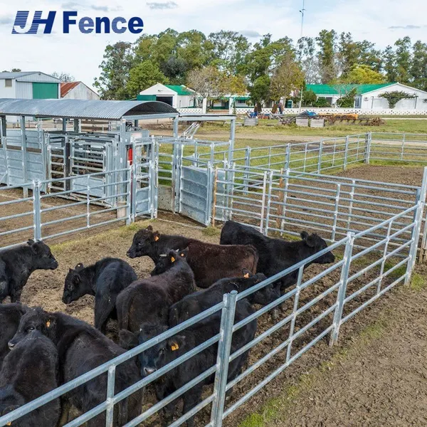 Metal Portable Ranch Fence Panel for Cattle Yards and Livestock photo-5