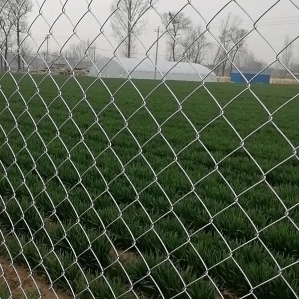 Galvanized Chain Link Fence With 2.5mm Wire Diameter for Industrial Security photo-1