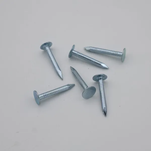 China Factory Direct Flat Head Roofing Nails 25kg Bulk for Roofing Projects photo-5
