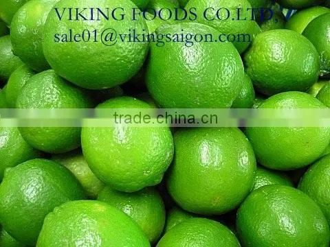 FRESH SEEDLESS LIME_GOOD QUALITY FROM VIET NAM photo-3