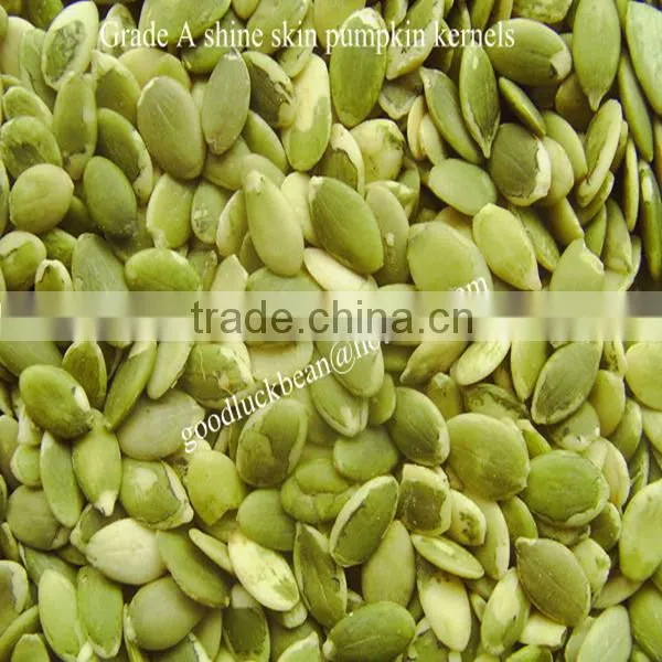 Green Pumpkin Seed Kernel