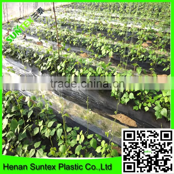 China Manufacture Offer Thin Plastic Mulch Film/agricultural Plastic Clear Mulch Film photo-2