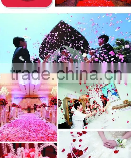 Hot Selling China New Coming Dried Flower Tea Bath Tea Spa Flower Tea Wedding Flower Dried Rose Petals Flower Blossom photo-2