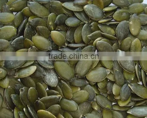 Light Green Pumpkin Seeds photo-3
