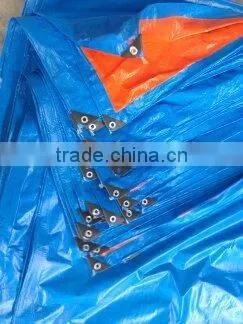 #3000 1.8x3.6m China Tarpaulin Roll Exported to Japan photo-3