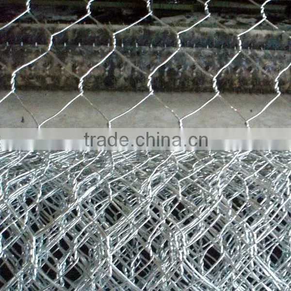 Green/ Black Pvc Coated Lowest Price Chicken Wire Mesh photo-5