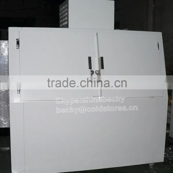 Slant Ice Merchandiser for Indoor & Outdoor Use photo-2