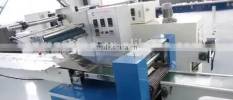 Cheapest Horizontal Filling Bread Food Packing Machine photo-3