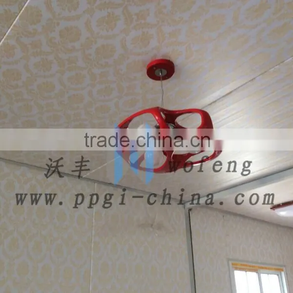 Prime Quality Hot Dipped Galvanized Metal Iron Sheet With Price for Roofing photo-6