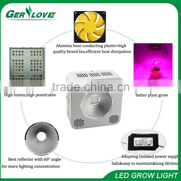 Gerylove Cob Led Grow Light for Mini Hydroponic Grow Tent Used Grow Light 192 Watt photo-2