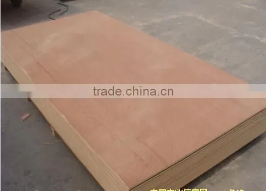Linyi MR Plywood for Pallet photo-5