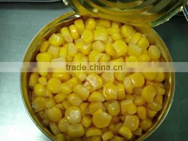 2016 New Canned Sweet Corn Factory Supplying High Quality photo-5