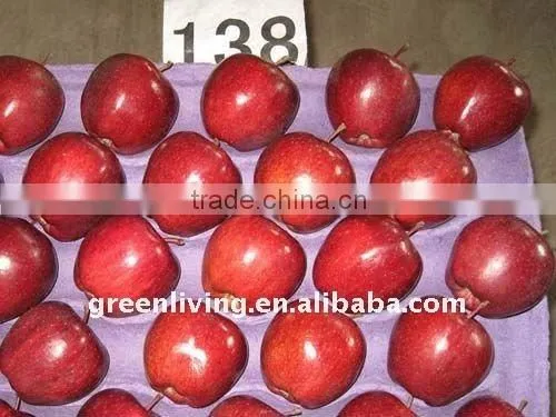 Fuji Apple