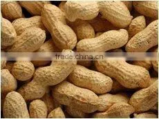 Peanuts in Shelled photo-2