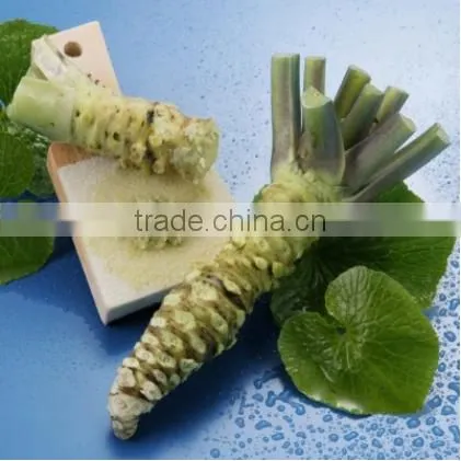 Wholesale Products Horseradish Extract Top Selling Products in photo-5