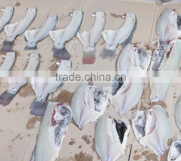 FGB-180 High Efficiency Medium Size Fish Fillet Filleting Filleter Machine photo-6
