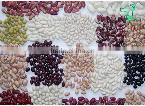 Non-Gmo Pulses, All Kinds of Kidney Beans