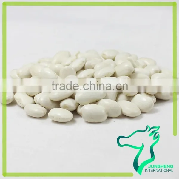 Nutritional Value Of White Kidney Beans Medium Size Square Shape White Kidney Beans photo-4