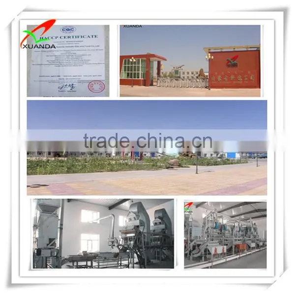 Hulled Sunflower Seed Kernels Bakery Grade photo-4