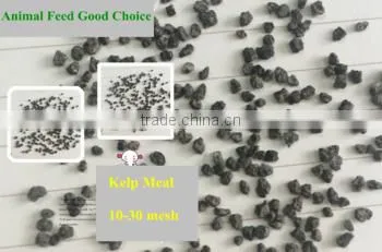 Cattle,Horse,Chicken,Dog,Pig,Fish Use Seaweed Powder Type Feed Grade Kelp Meal photo-2