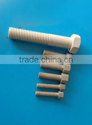 Wear Resistance and Chemical Resistance PEEK Screw photo-4