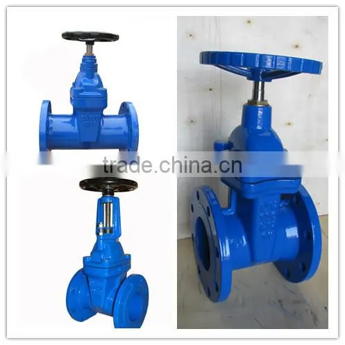 Large Size Cast Iron Flanged Gate Valve/Screw Cast Iron Globe Valve photo-4