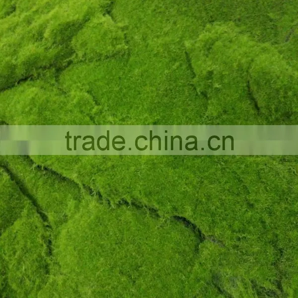 SJ141102 Artifiical Moss Carpet Mat for Garden Decoration photo-2