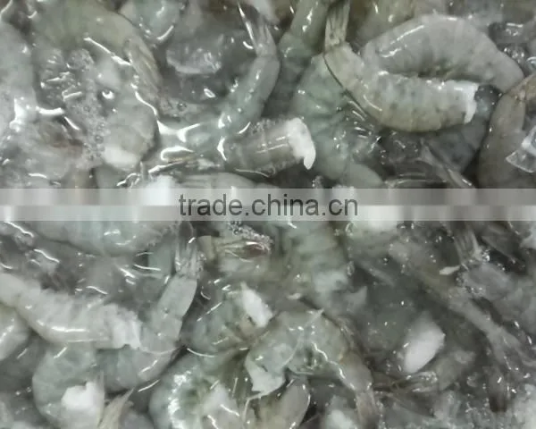 Vannamei Shrimp
